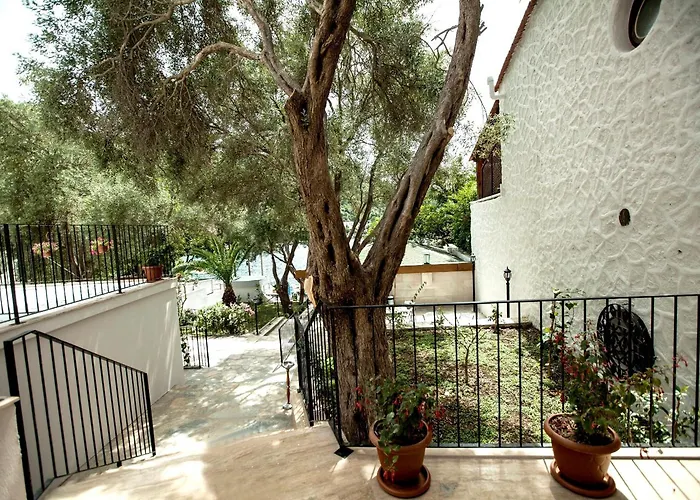 Hotel Zena Bodrum 2*