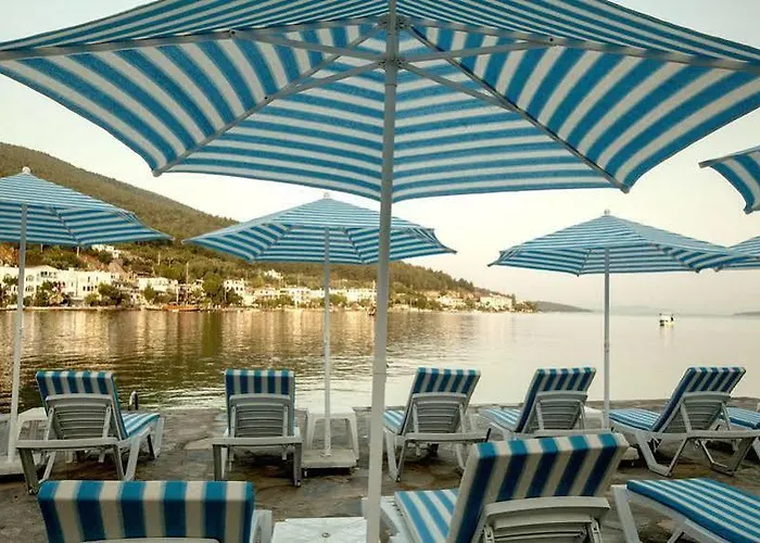 Zena Bodrum Hotel 2*