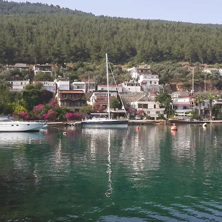 Zena Bodrum Guvercinlik (Bodrum)