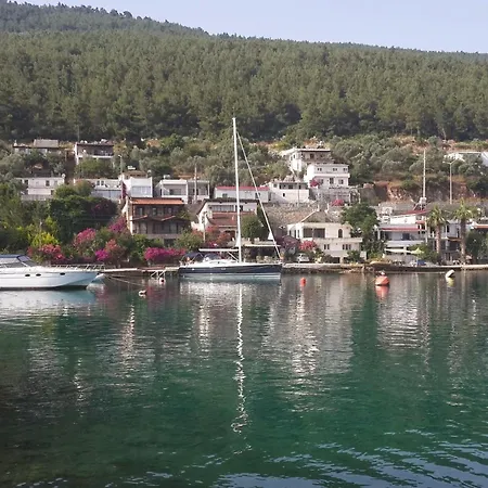 Zena Bodrum 호텔 2*