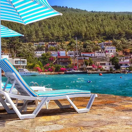 Zena Bodrum Hotel 2*