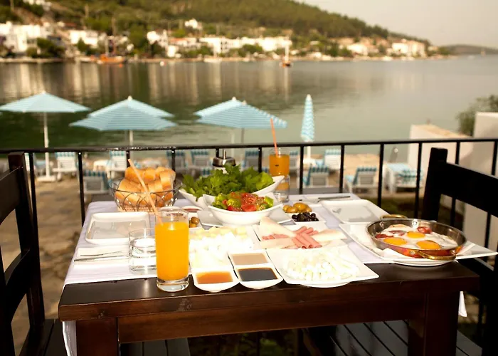 호텔 Zena Bodrum 2*