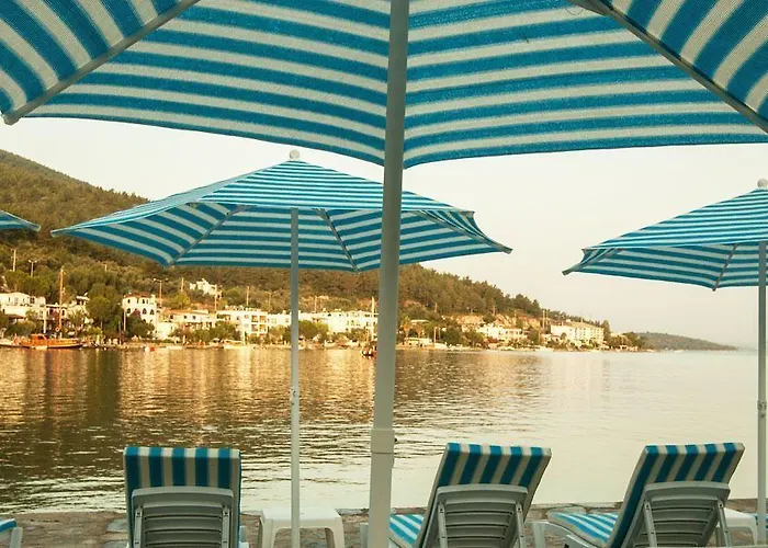 Zena Bodrum 호텔 2*