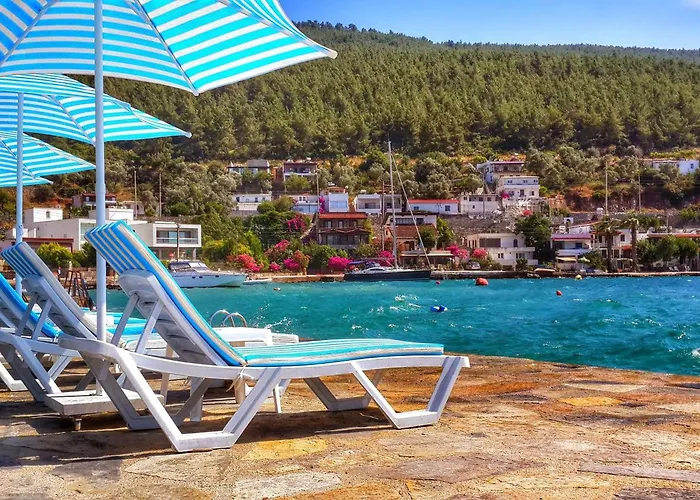 Zena Bodrum 호텔 2*